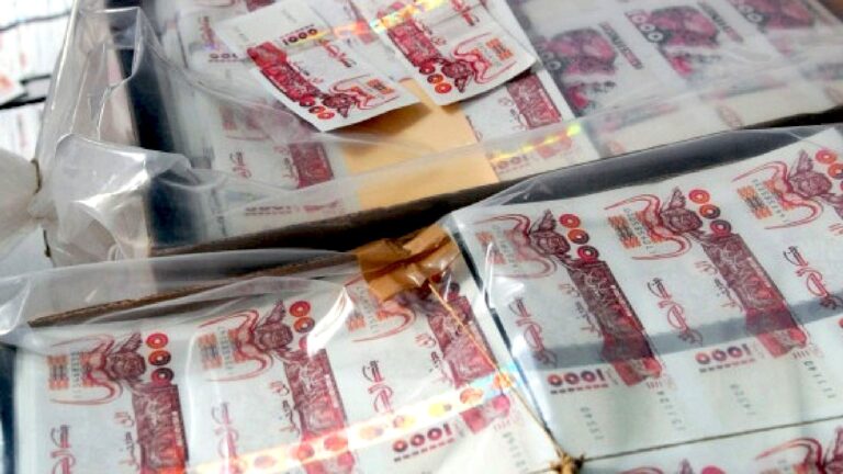 Des liasses de billets de 1 000 dinars dans des cartons