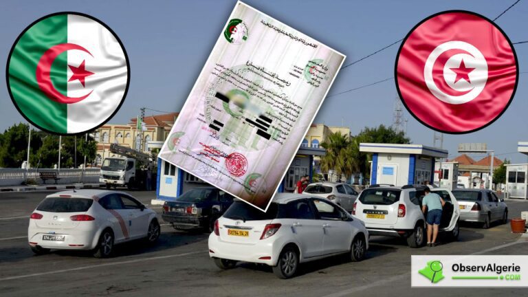 Poste frontalier algéro-tunisien avec les drapeaux des deux pays et l'image d'une licence des Moudjahidine Poste frontalier algéro-tunisien avec les drapeaux des deux pays et l'image d'une licence des Moudjahidine