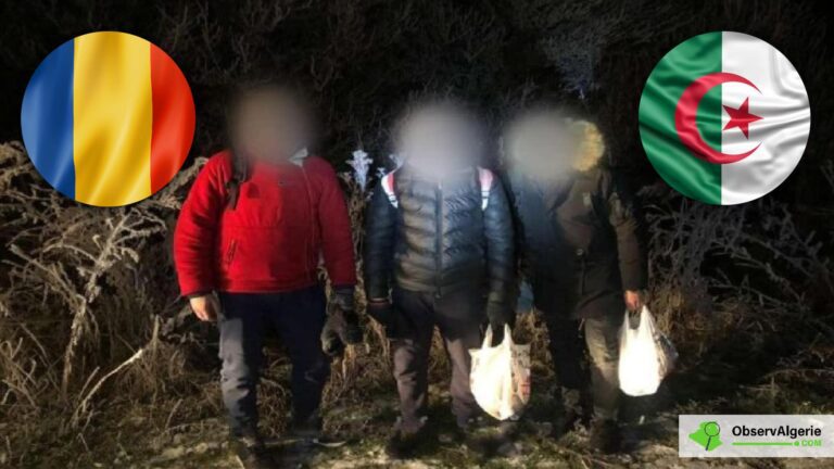 Migrants algériens en Roumanie