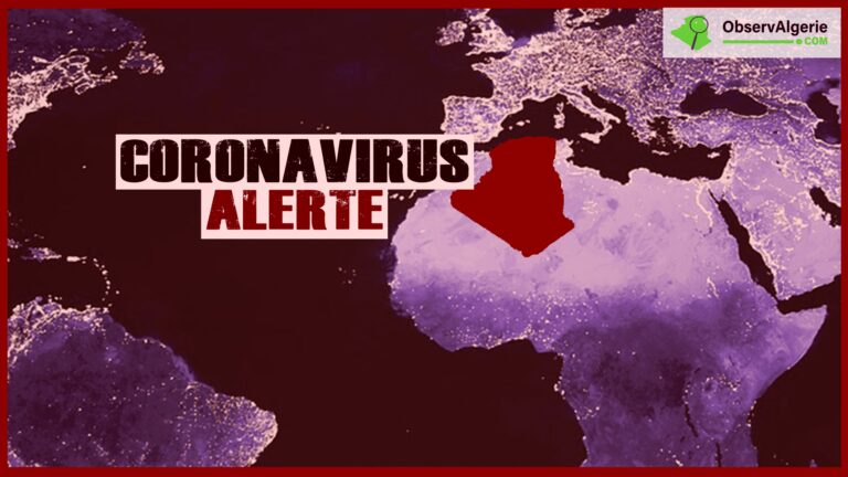 Montage : Alerte - Coronavirus - Algérie - Carte du monde