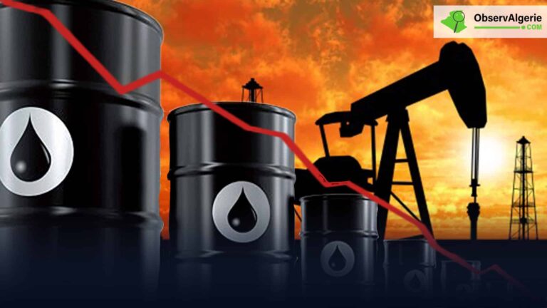 Montage : champ pétrolier - barils de pétrole