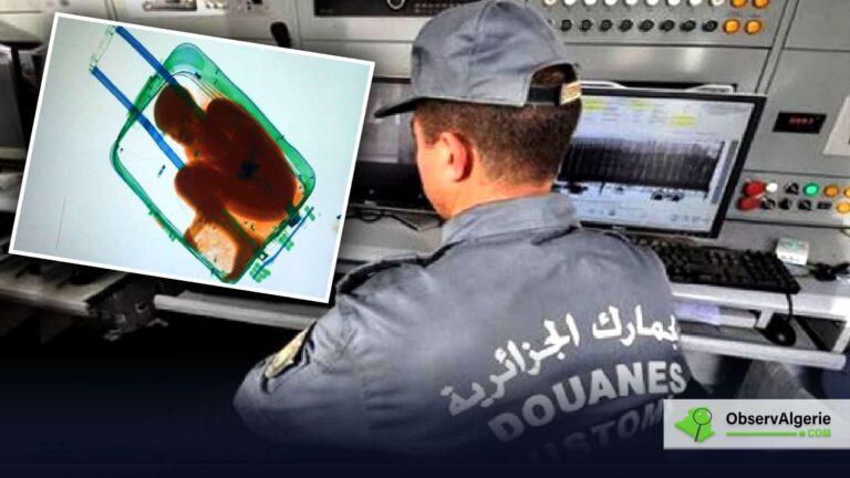 Algérie : Un homme découvert dans une valise au port d'Oran