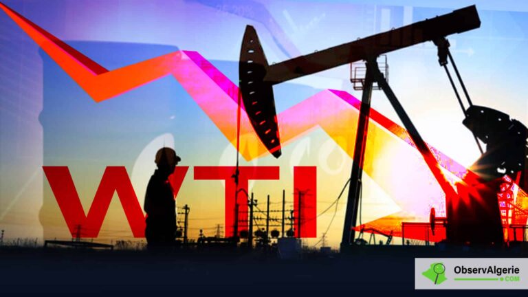 Montage : champ pétrolier - pétrole WTI Montage : champ pétrolier - pétrole WTI