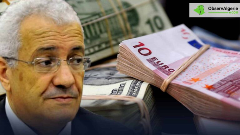 Montage : Mohand-Oussaïd Belaïd - Billets d'Euro et Dollars