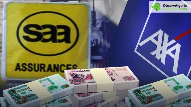 Montage : Sociétés d'assurance - Liasses de billets de Dinar