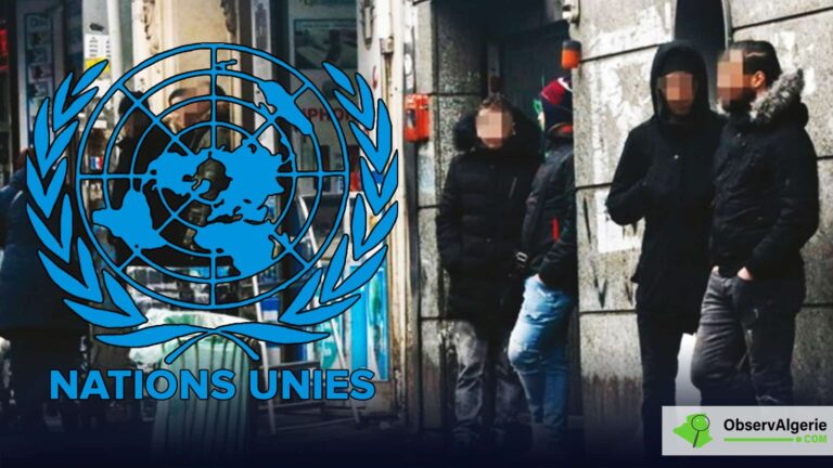 Montage : United Nations - immigrés sans papiers