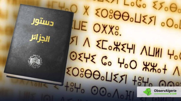 Tamazight langue nationale officielle en Algérie : La déclaration controversée de Bengrina