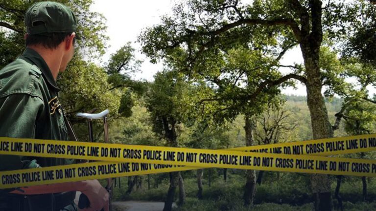 Montage : Forêt d'Oran - Gendarmerie -Scène de crime