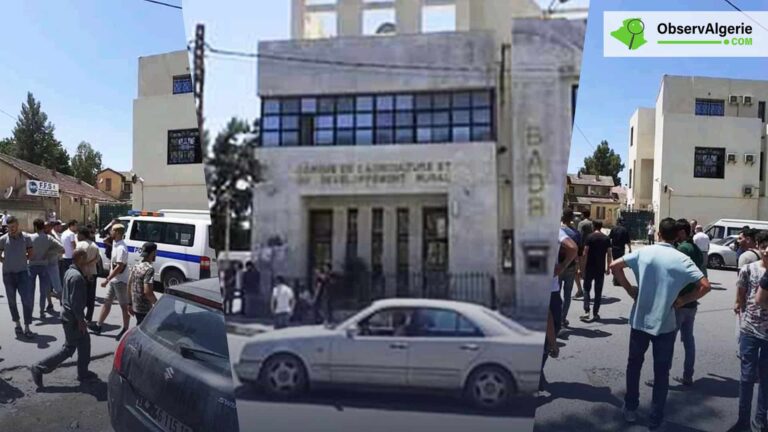 Kabylie : Tentative de braquage d'une banque à Tizi Ouzou