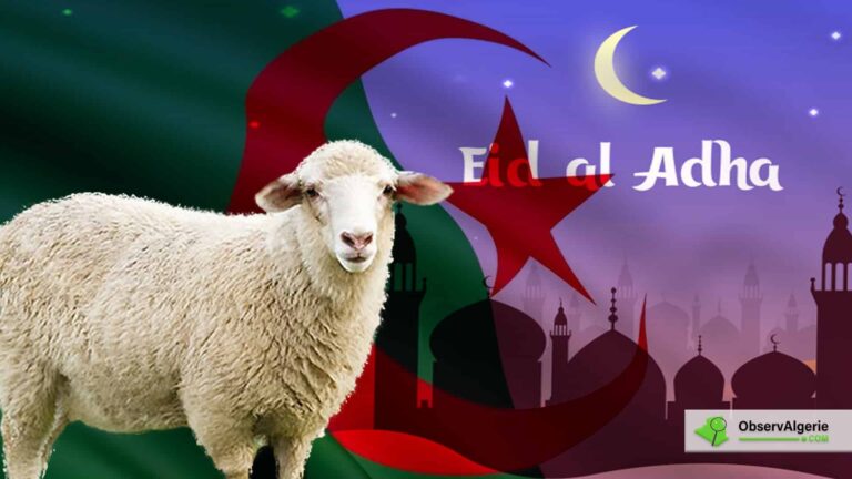 Montage : Aid El Adha - Mouton Montage : Aid El Adha - Mouton