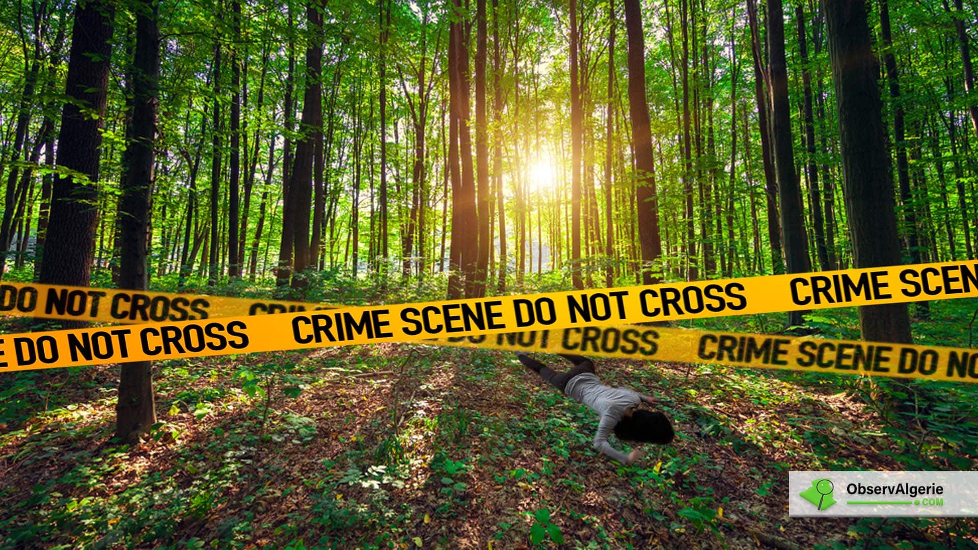 Une femme retrouvée morte dans une forêt