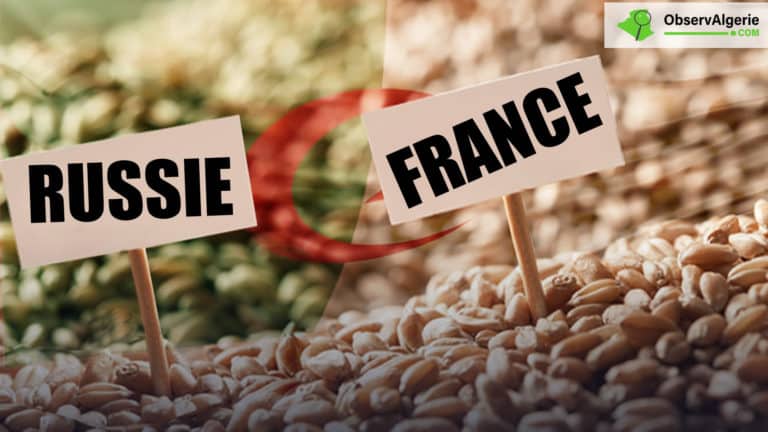 Montage : Algérie-France-Russie-Blé-Agriculture Montage : Algérie-France-Russie-Blé-Agriculture