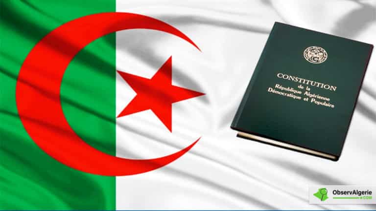 Montage : Drapeau d'Algérie - Constitution