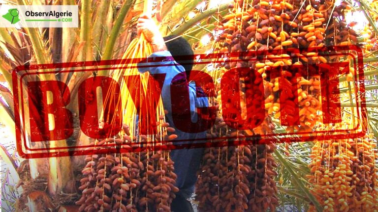 Montage : Boycott - Dattes Algériennes