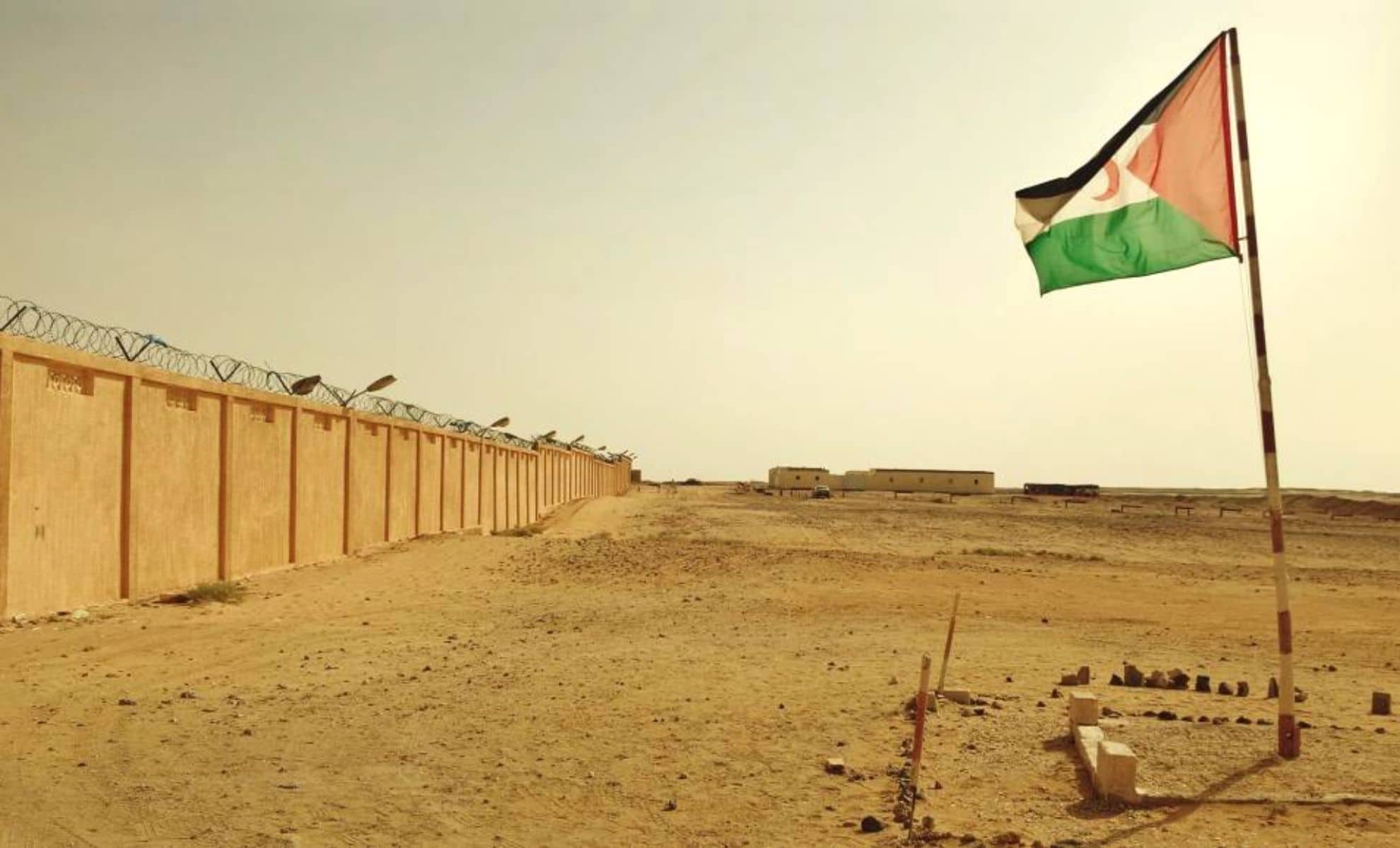 Photo d'un drapeau du Sahara occidental planté dans le sol devant un mur