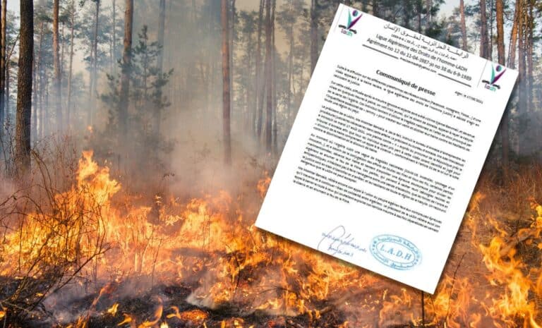 Montage : Communiqué de la LADH, sur fond d'une photo de feu de forêt