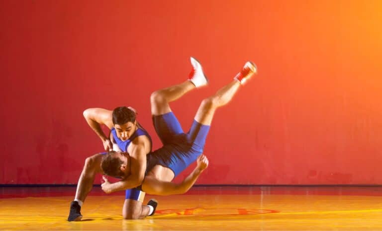 Lutteurs en plein combat