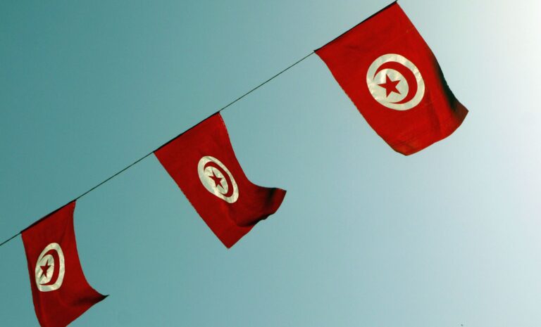 Drapeaux tunisiens