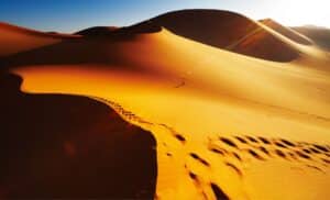 Sahara - Algérie