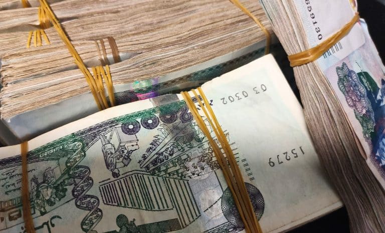 Liasses de billets en dinar algérien - Fonds détournés - Biens récupérés - Faux billets