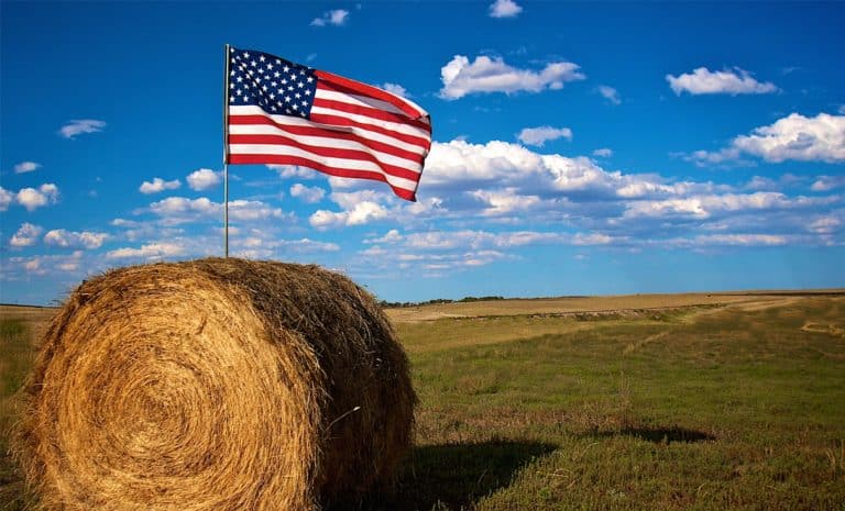 Agriculture USA - Algérie