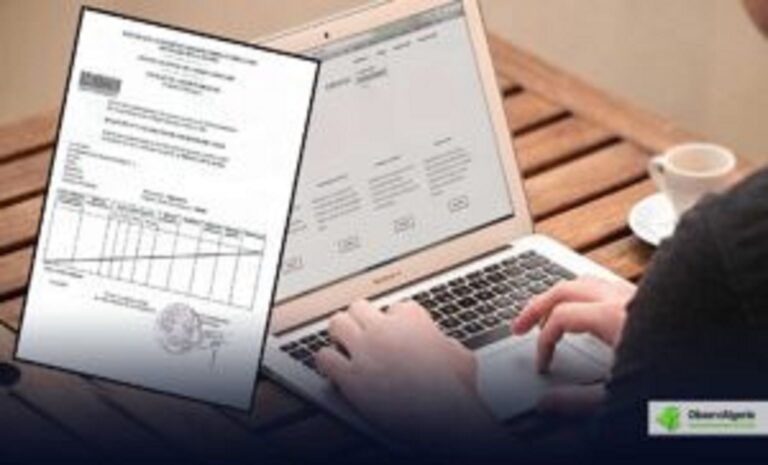 casier judiciaire en ligne