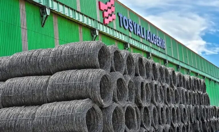 Tosyali Algérie - Exportations - Acier - Sidérurgie