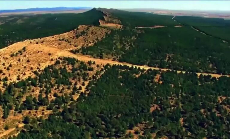 Algérie - Barrage vert