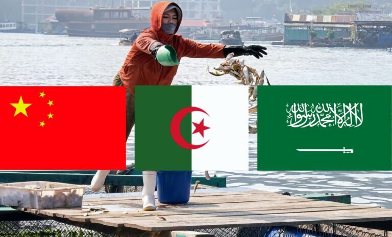 Algérie - Chine - Arabie saoudite - Investissement - Aquaculture Pêche Algérie - Chine - Arabie saoudite - Investissement - Aquaculture Pêche