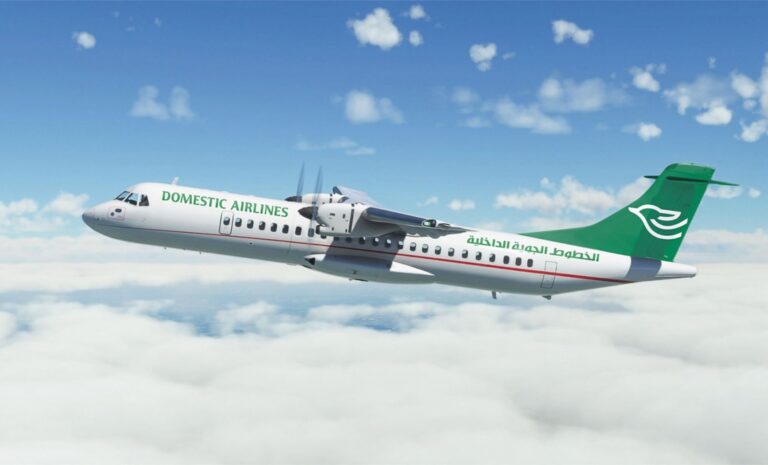 Domestic Airlines