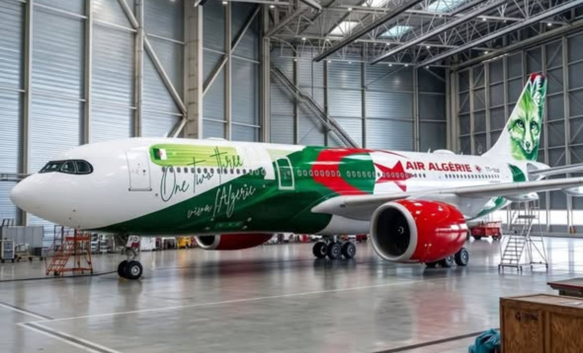 Air Algérie - Fennec - Equipe d'Algérie