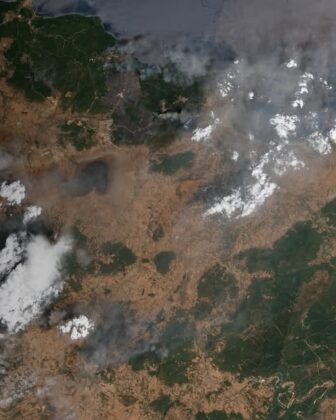 Incendies en Algérie : les images satellites révèlent l'ampleur exceptionnelle des feux