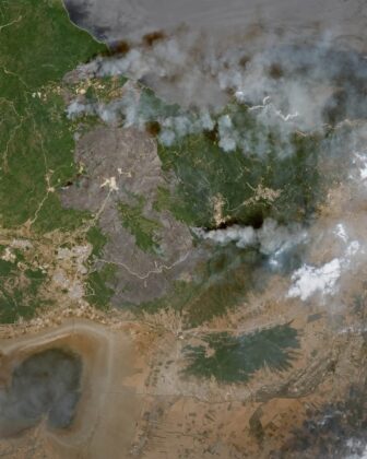 Incendies en Algérie : les images satellites révèlent l'ampleur exceptionnelle des feux