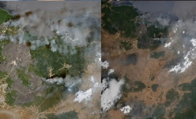 Images satellites des incendies en Algérie