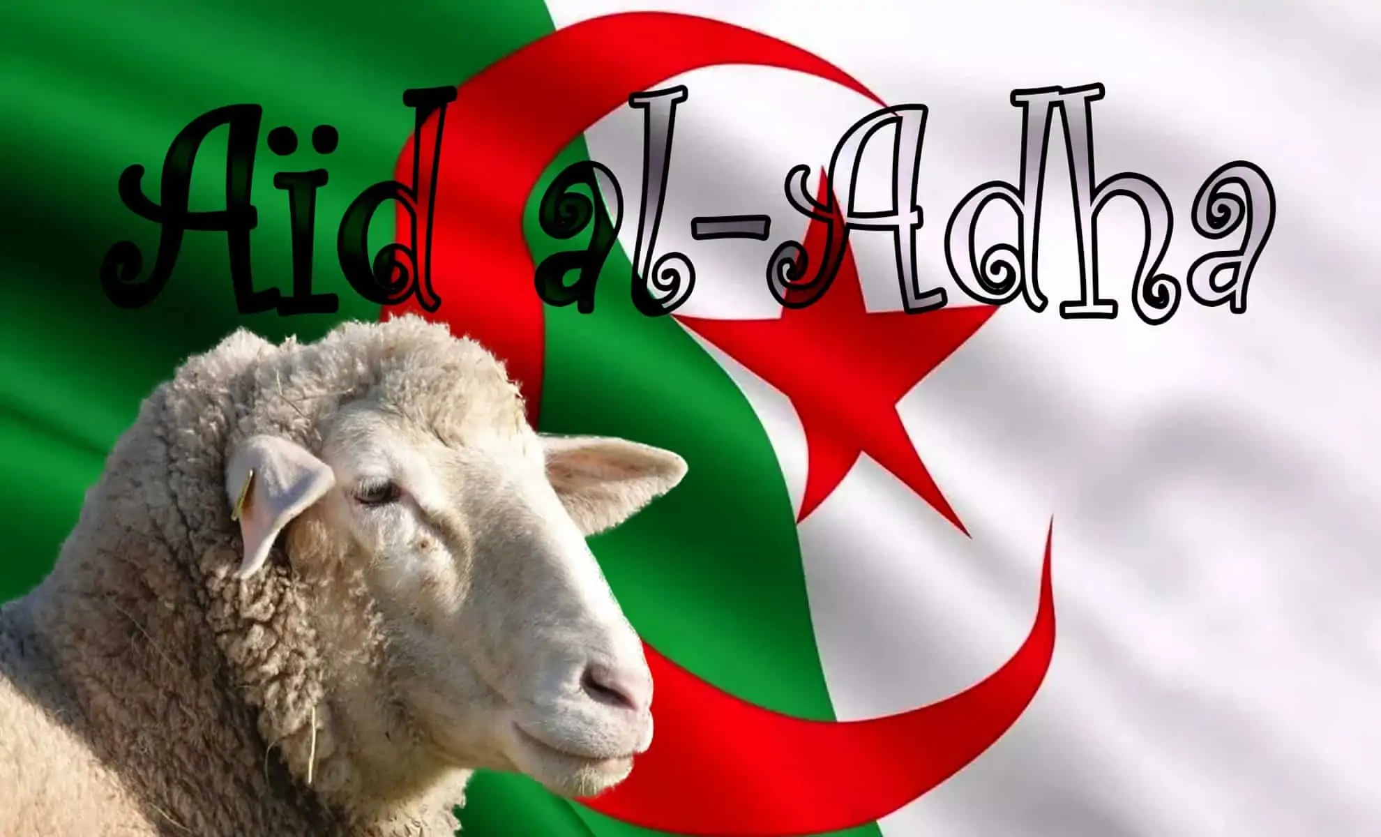 Aïd El Adha 2021: Augmentation significative des prix du mouton en Algérie