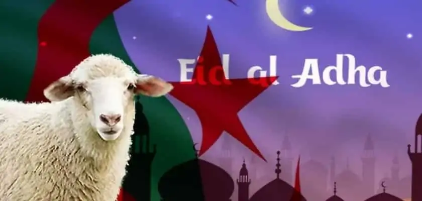 Montage : Mouton, drapeau de l'Algérie et texte : Aïd al-Adha
